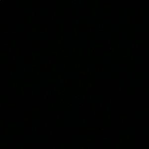 Meet your Posher, Ricardo